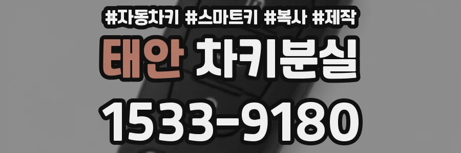 태안 차키분실