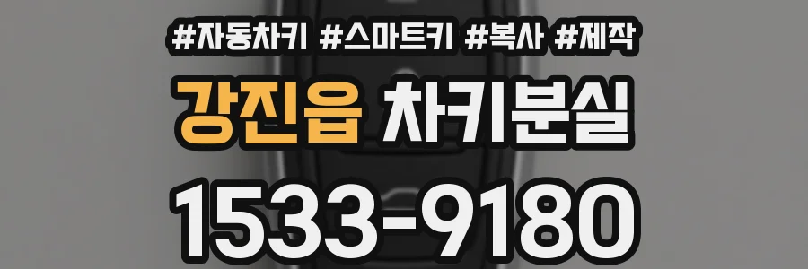 강진읍 차키분실