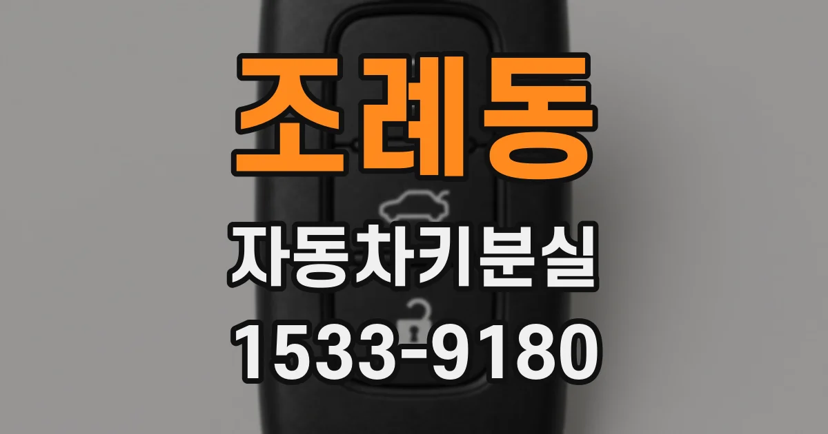 조례동 자동차키분실