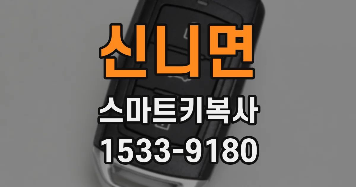 신니면 스마트키복사