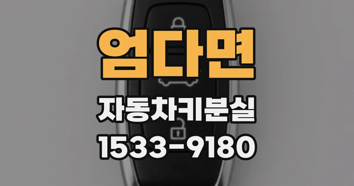 엄다면 자동차키분실