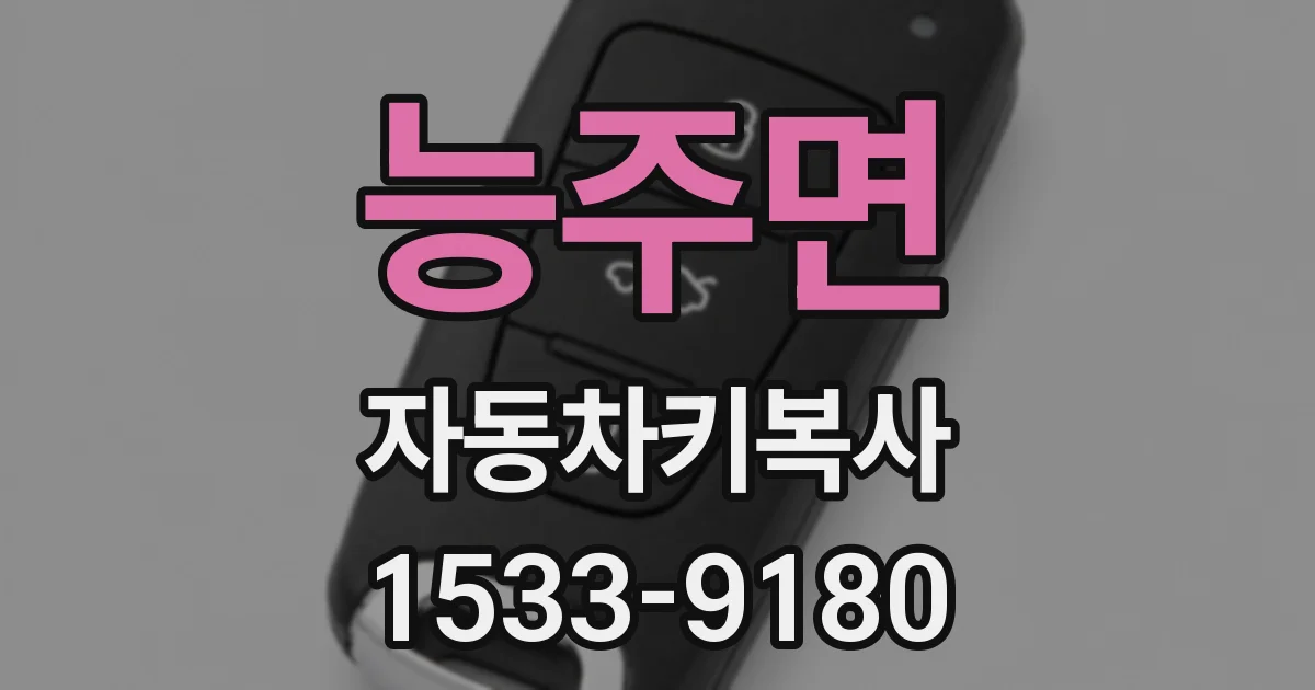 능주면 자동차키복사