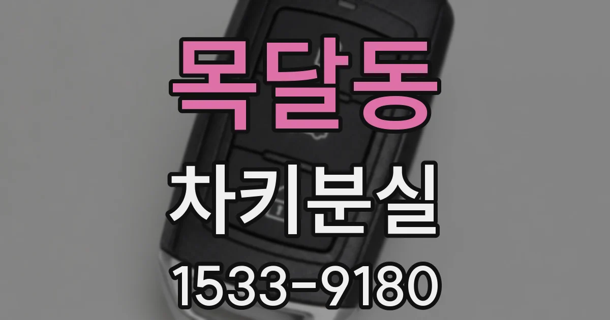 목달동 차키분실