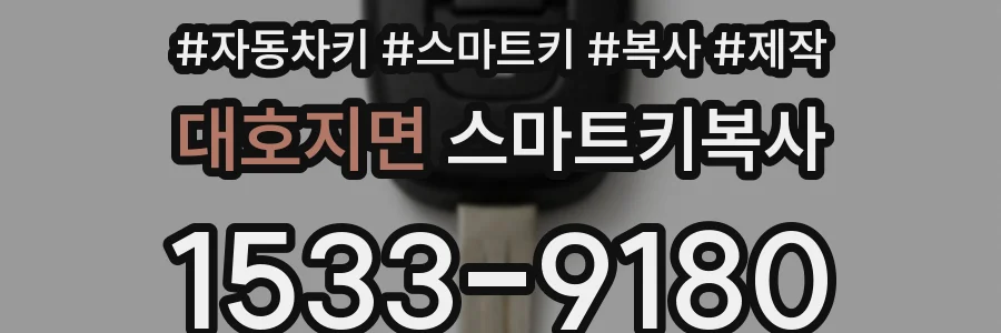 대호지면 스마트키복사