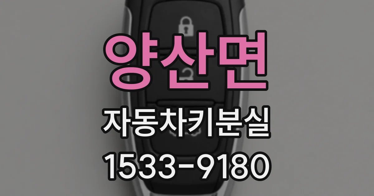 양산면 자동차키분실