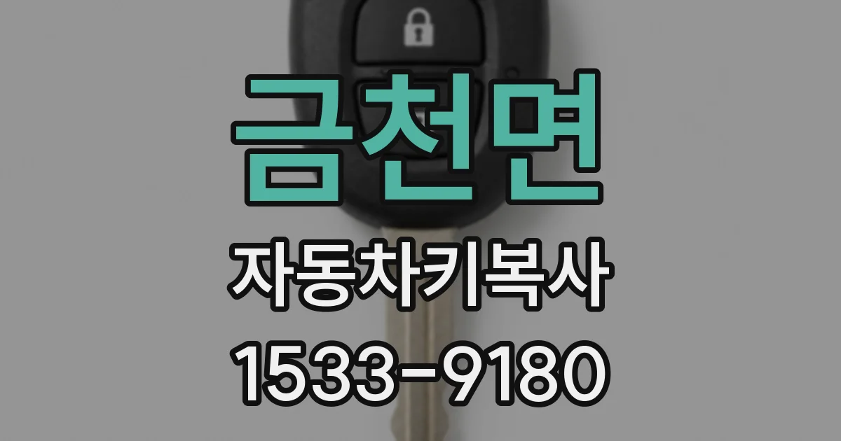 금천면 자동차키복사