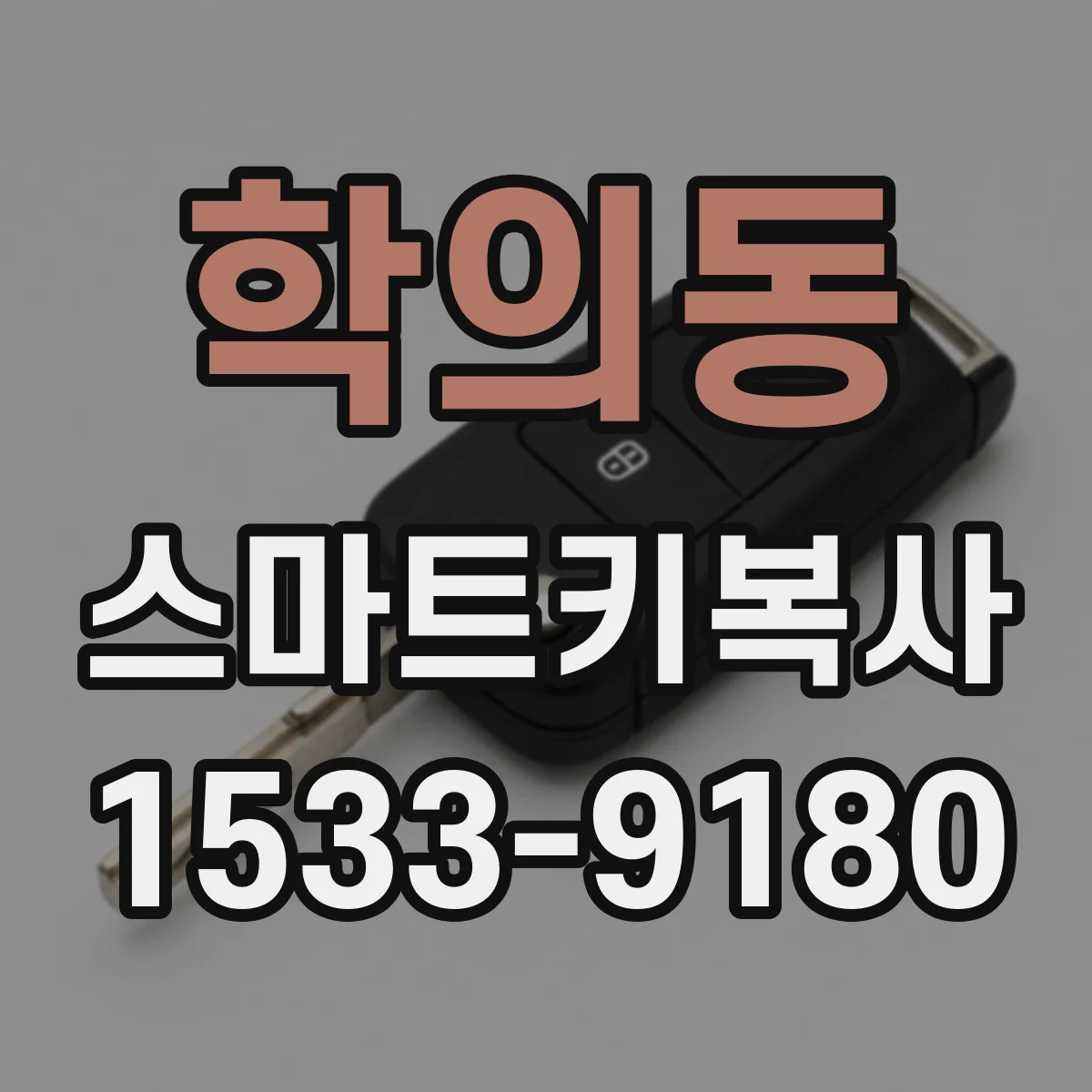 학의동 스마트키복사