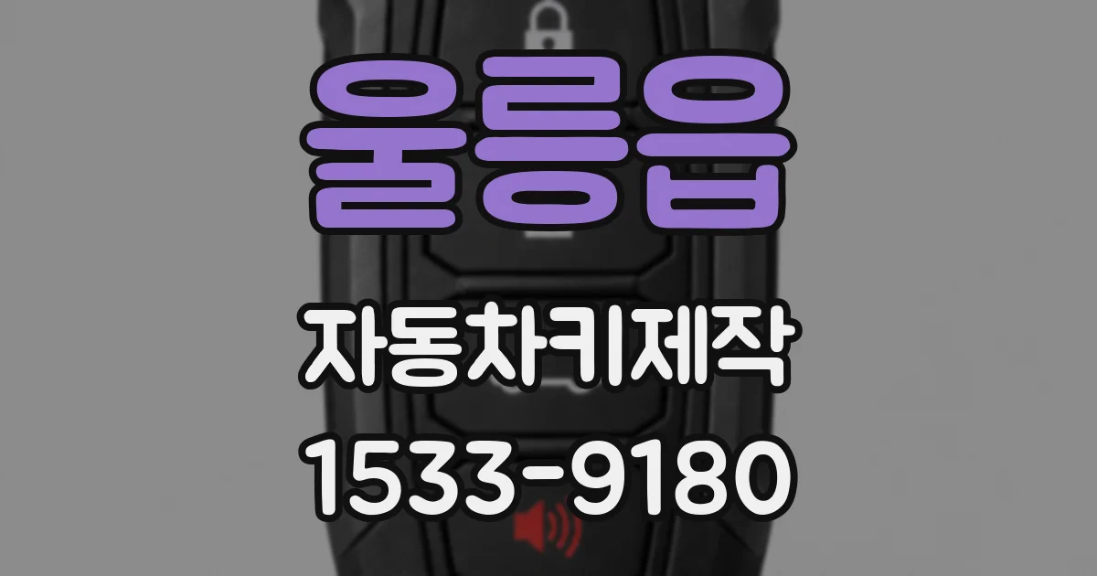 울릉읍 자동차키제작