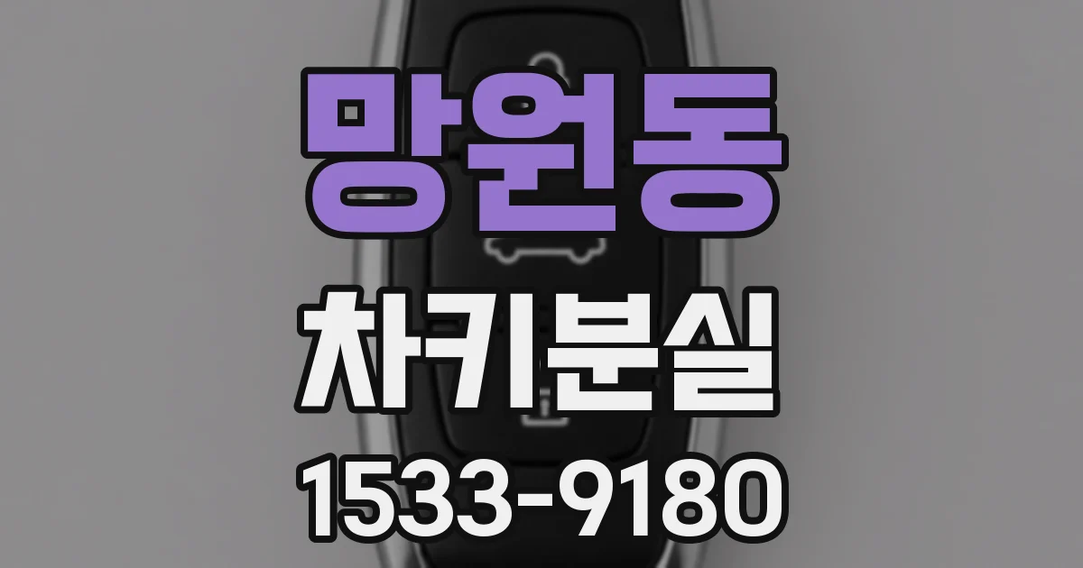 망원동 차키분실