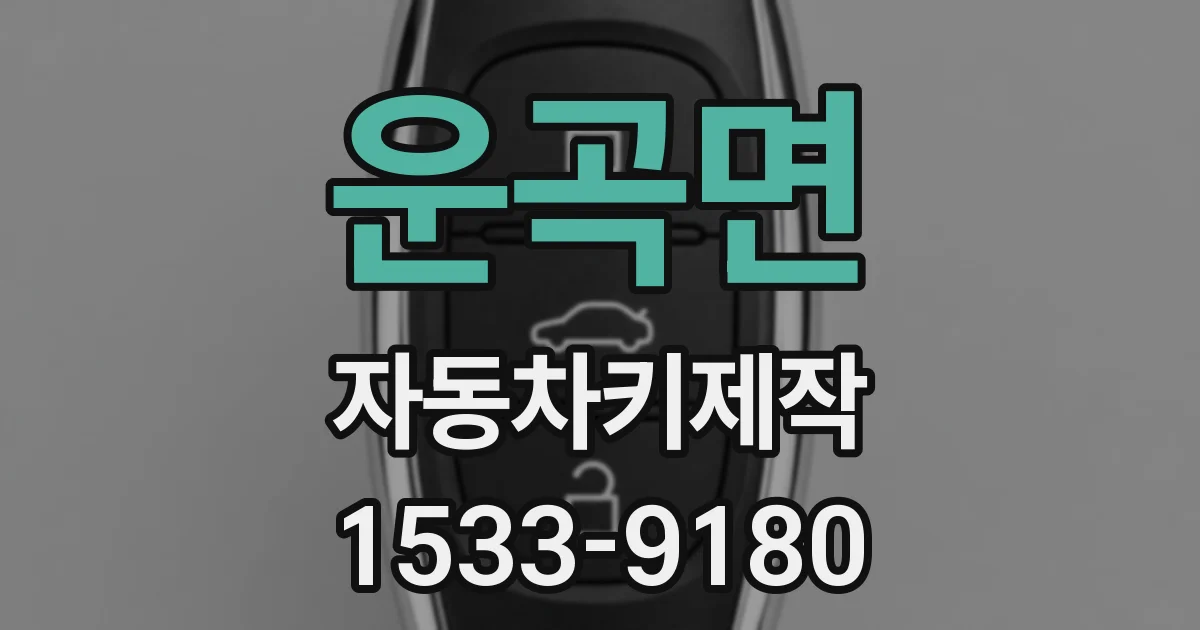 운곡면 자동차키제작