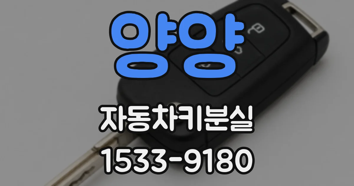 양양 자동차키분실