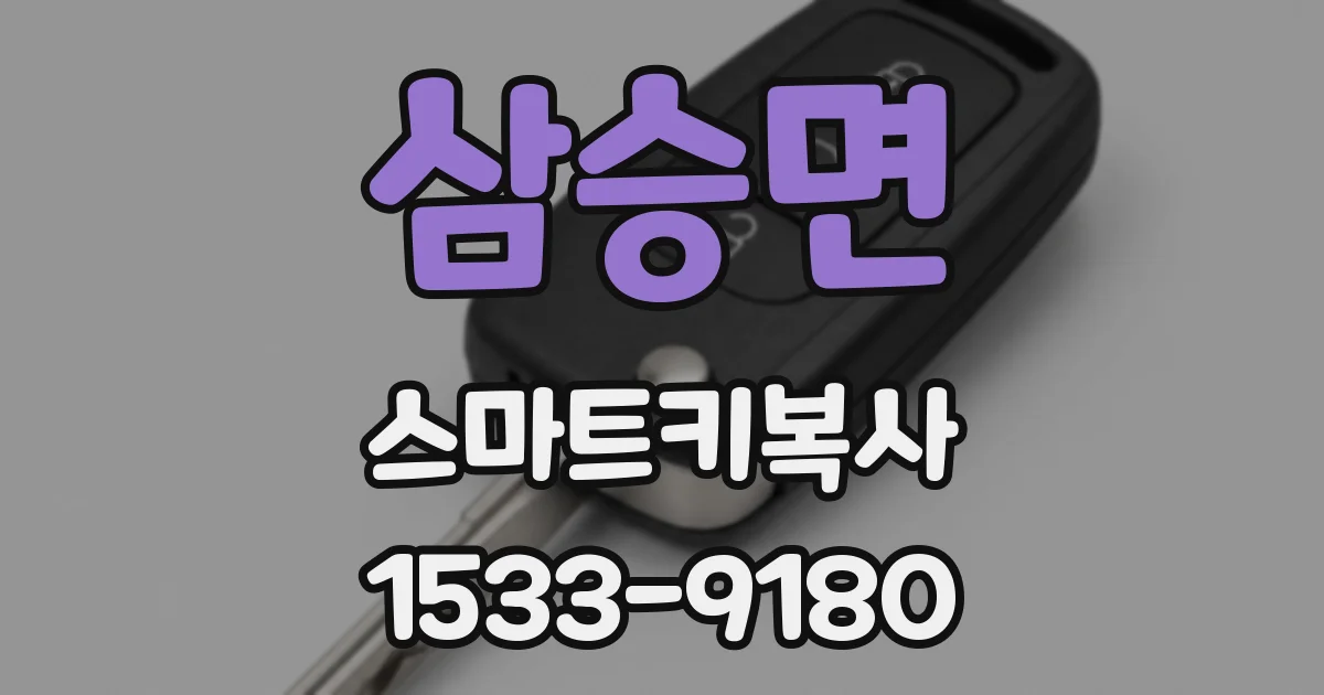 삼승면 스마트키복사