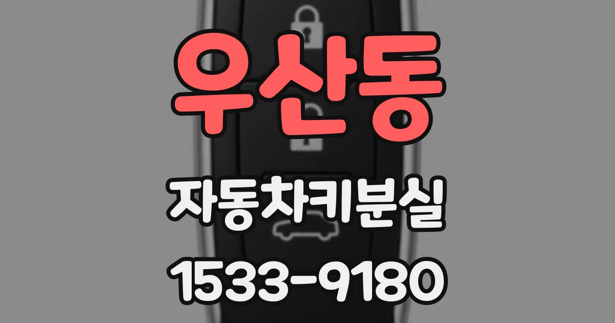 우산동 자동차키분실