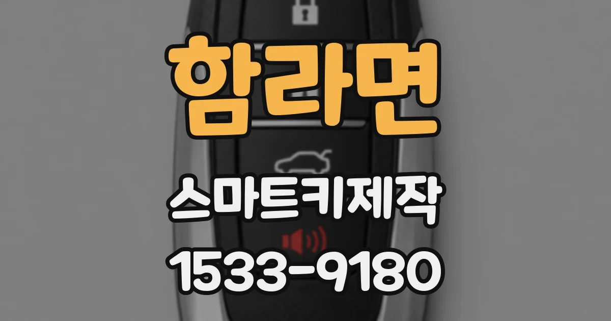함라면 스마트키제작