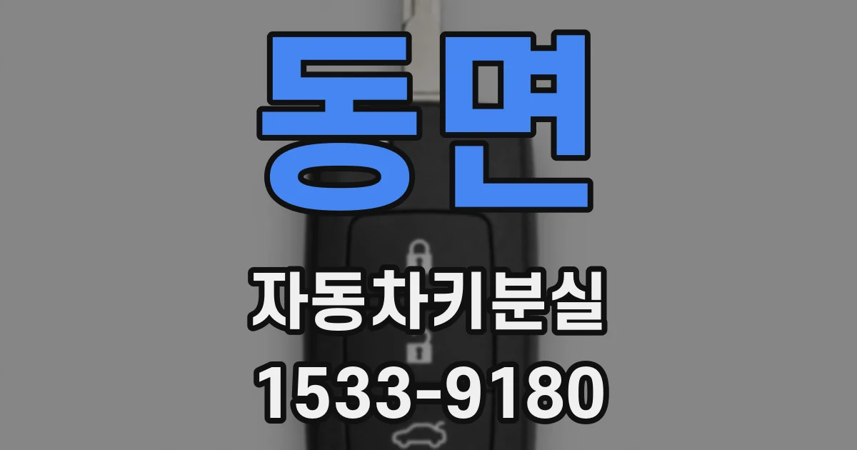 동면 자동차키분실
