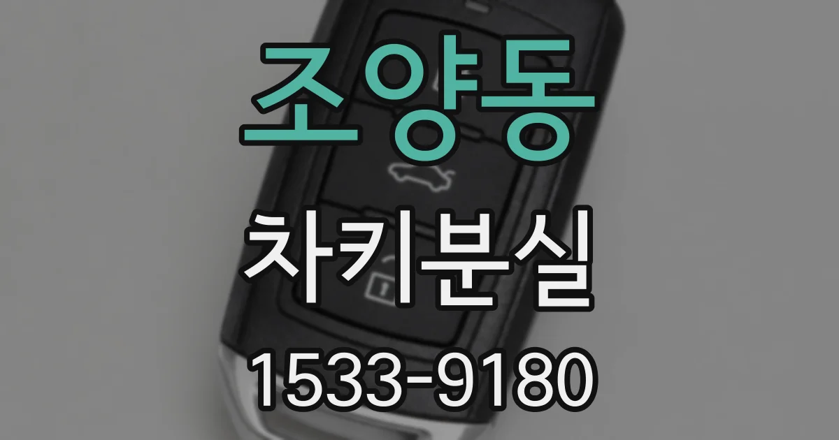 조양동 차키분실