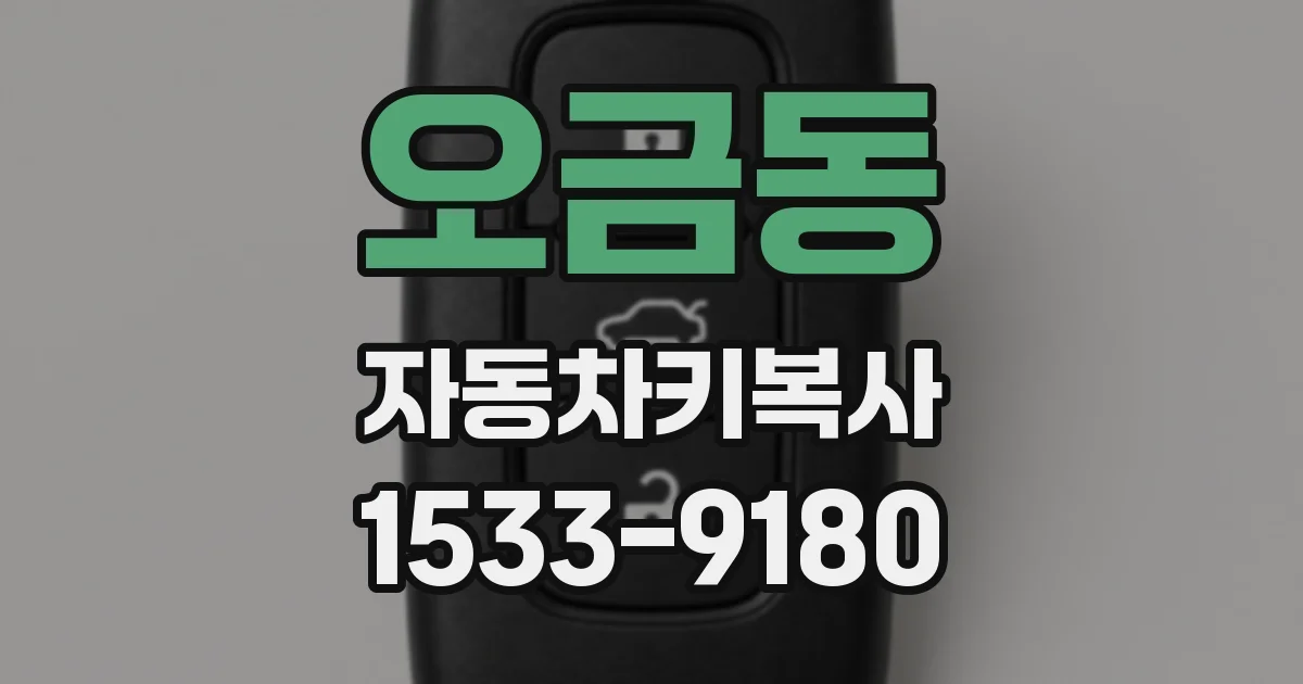 오금동 자동차키복사