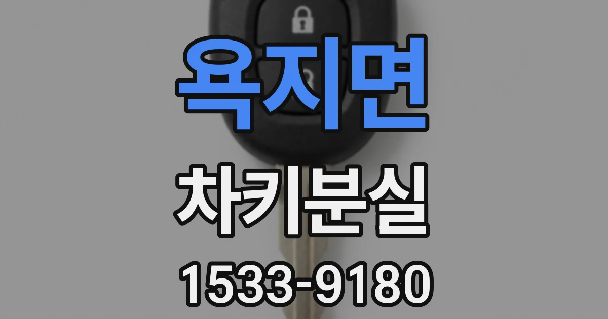 욕지면 차키분실