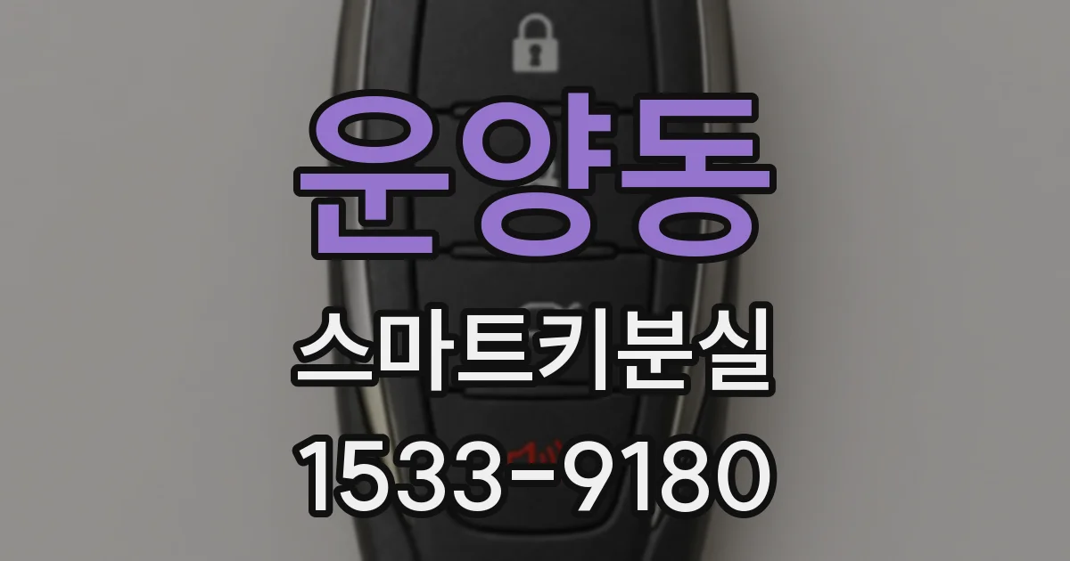 운양동 스마트키분실