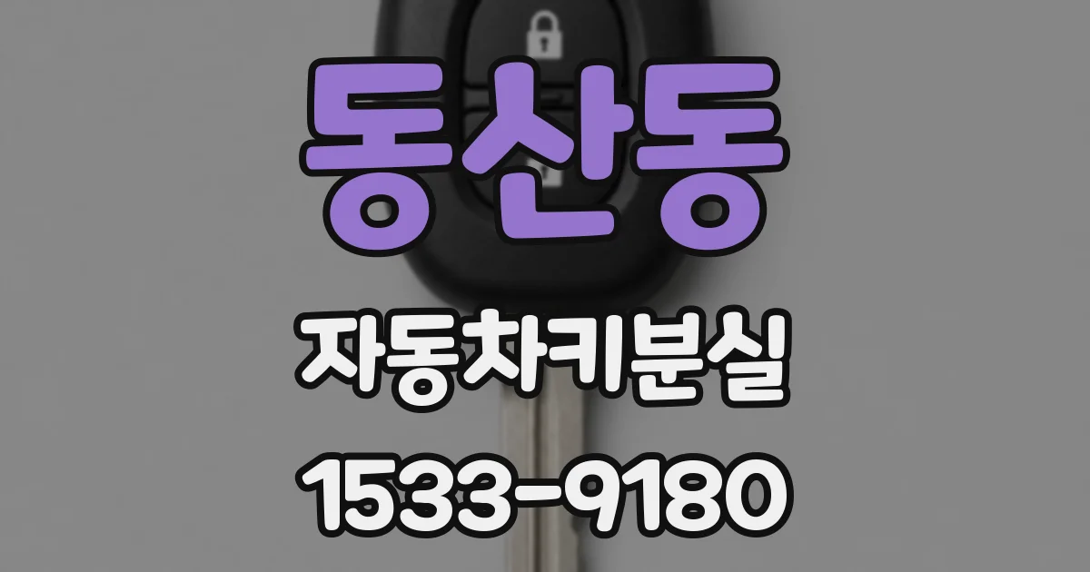 동산동 자동차키분실