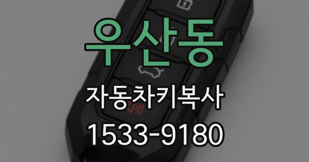 우산동 자동차키복사