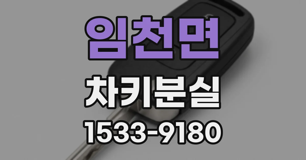임천면 차키분실