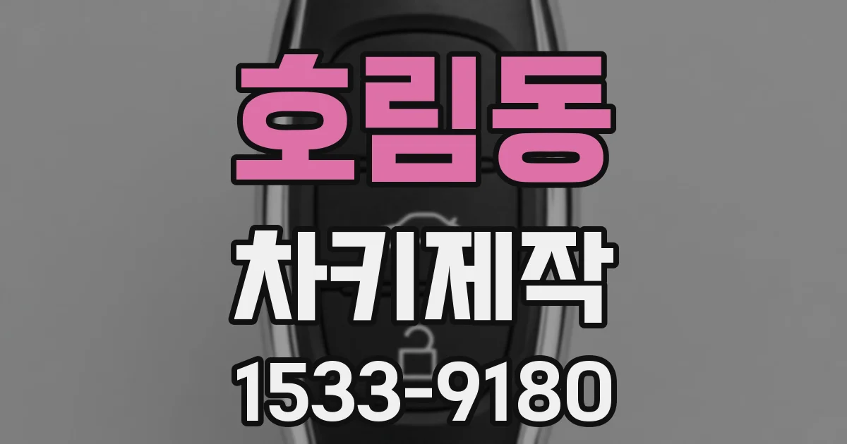 호림동 차키제작
