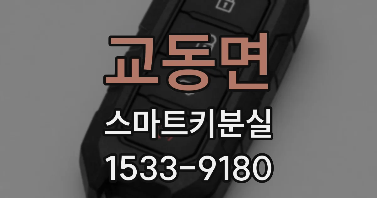 교동면 스마트키분실