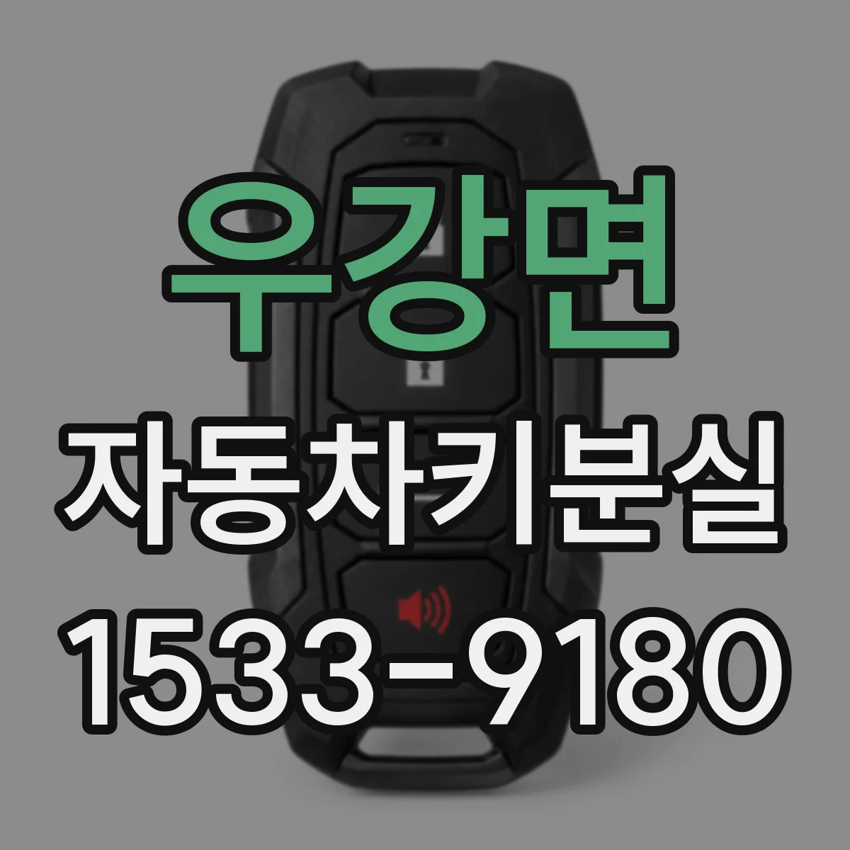 우강면 자동차키분실