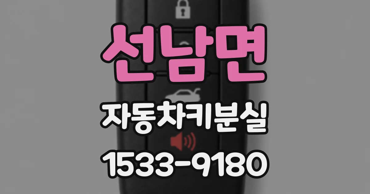 선남면 자동차키분실
