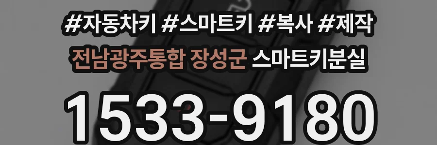 전남광주통합 장성군 스마트키분실