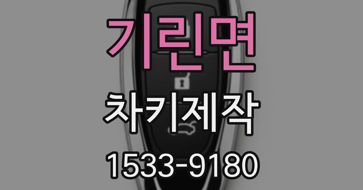 기린면 차키제작