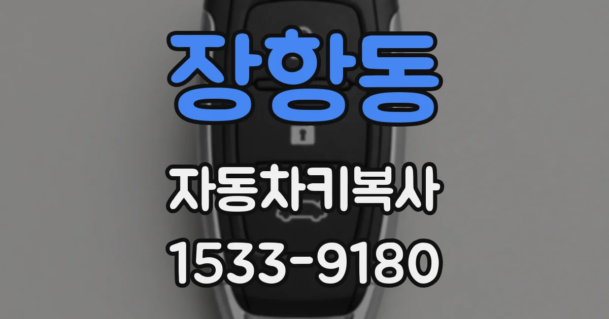 장항동 자동차키복사