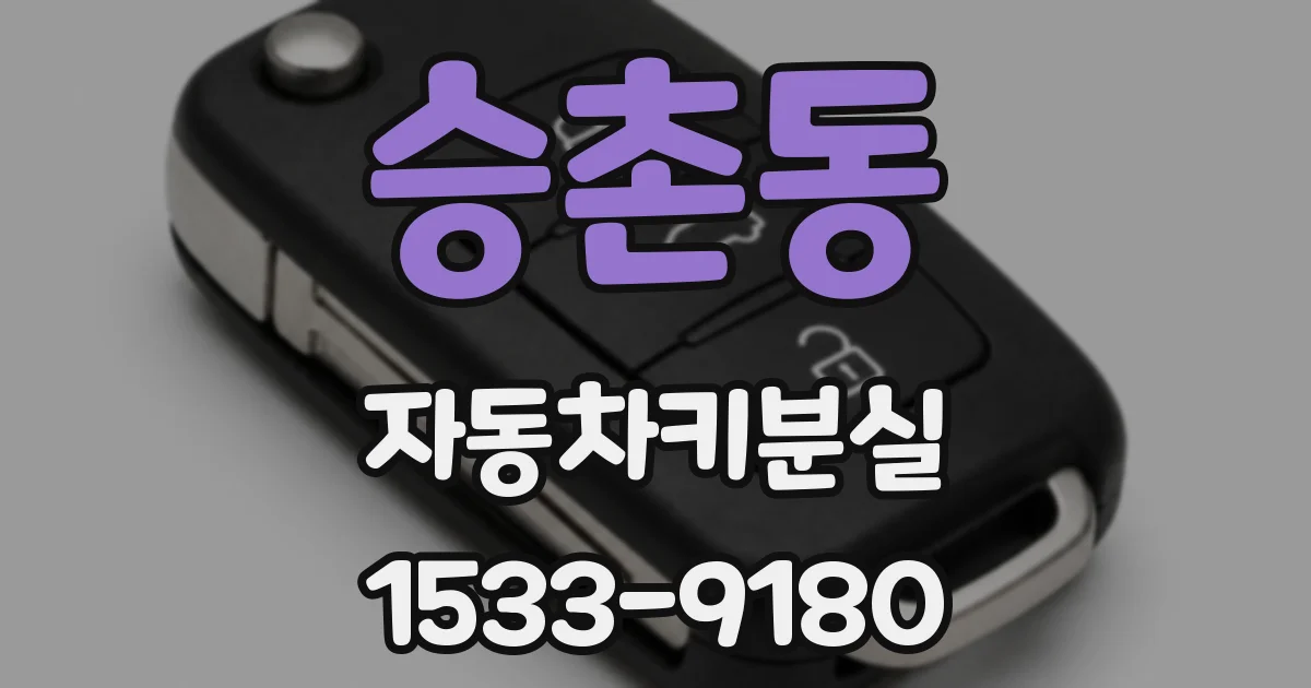 승촌동 자동차키분실