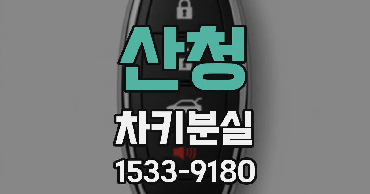 산청 차키분실