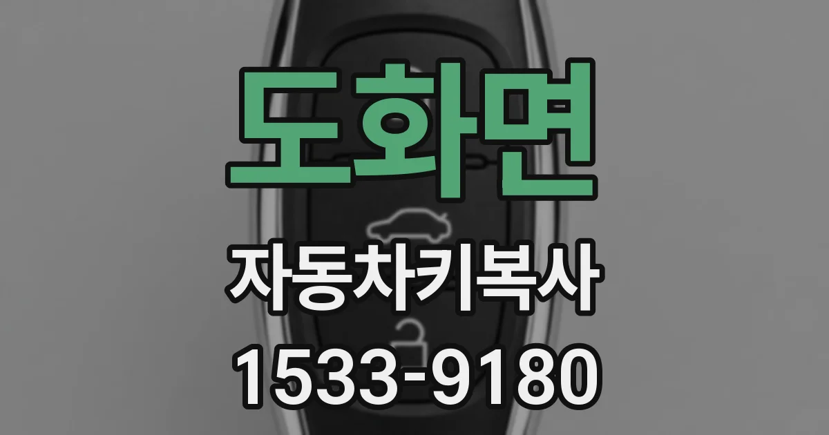 도화면 자동차키복사