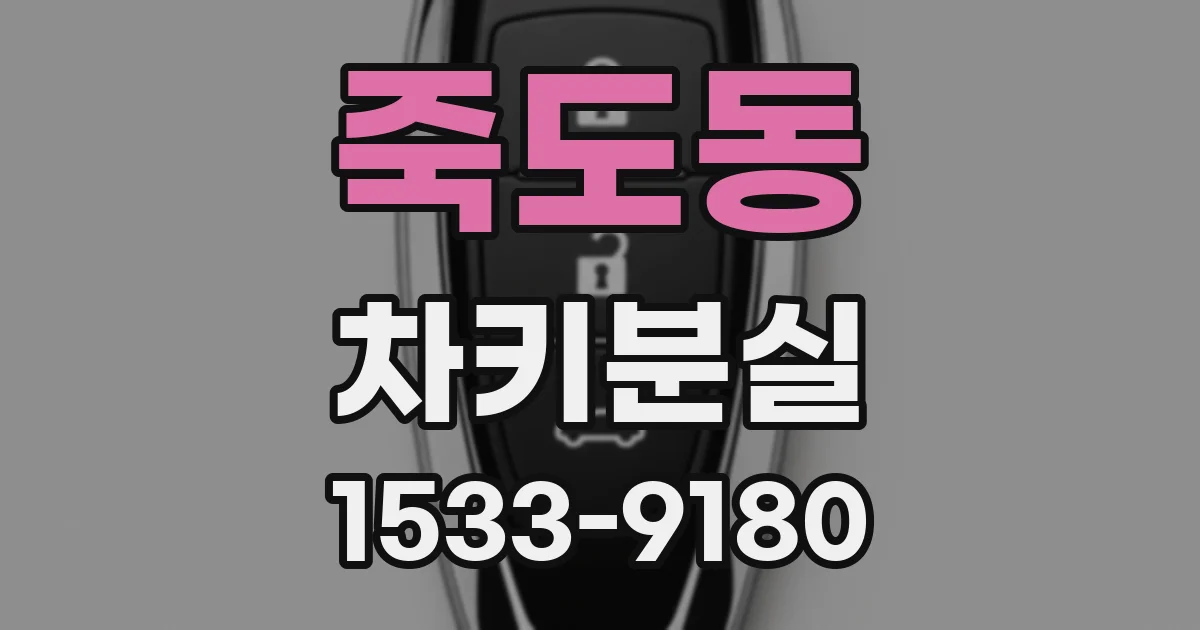 죽도동 차키분실