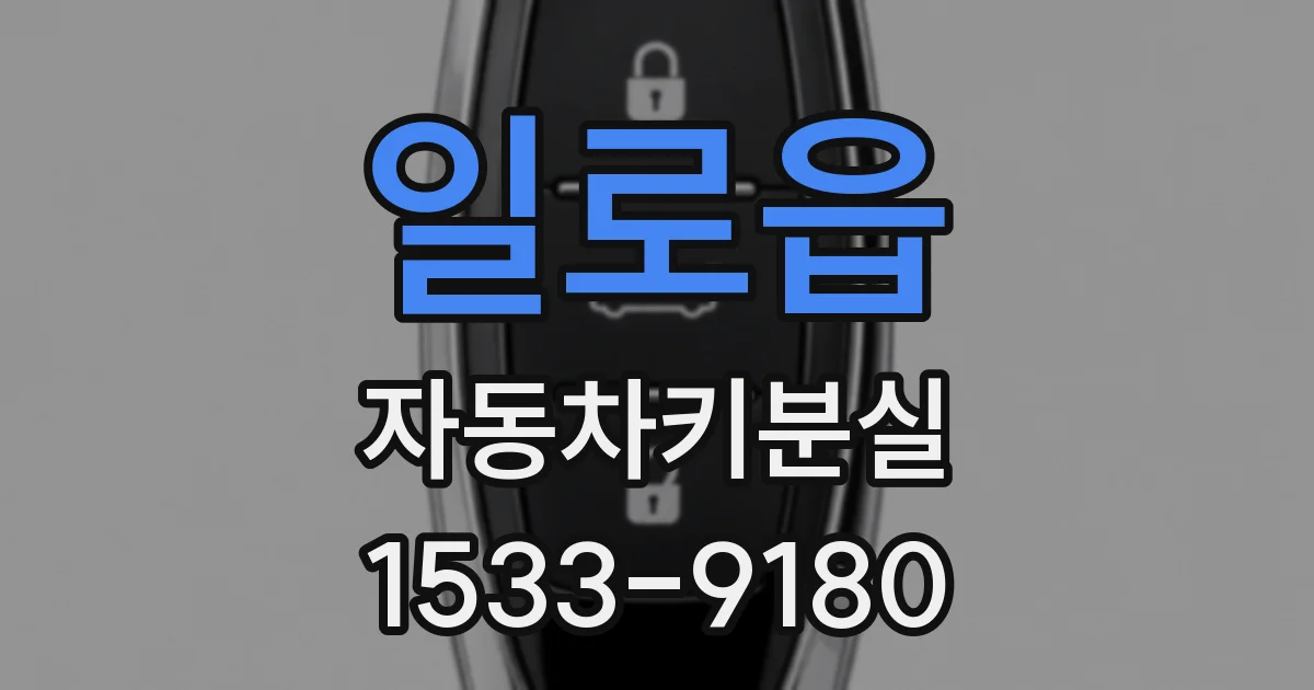 일로읍 자동차키분실