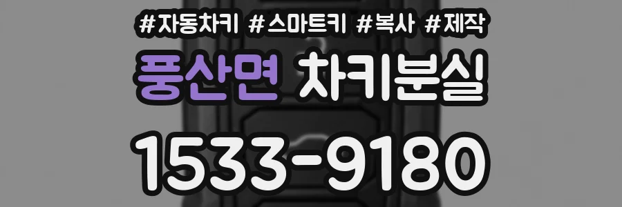 풍산면 차키분실