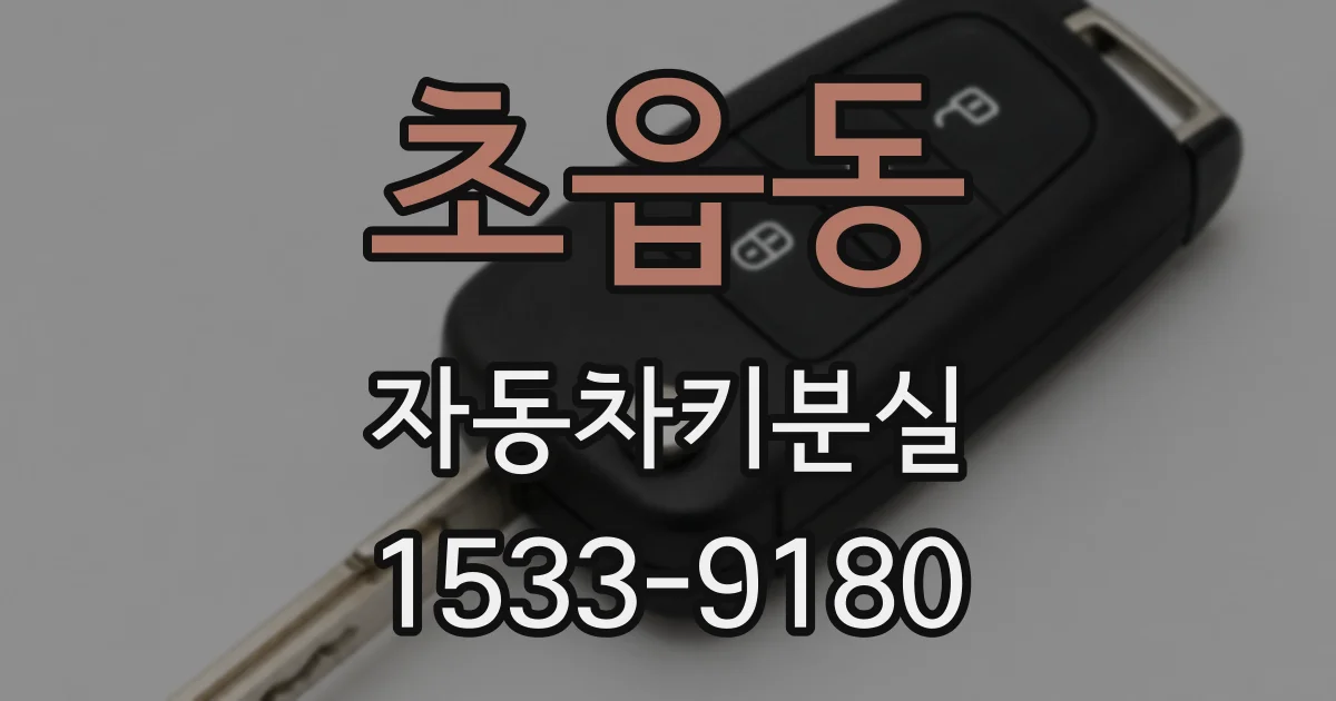 초읍동 자동차키분실
