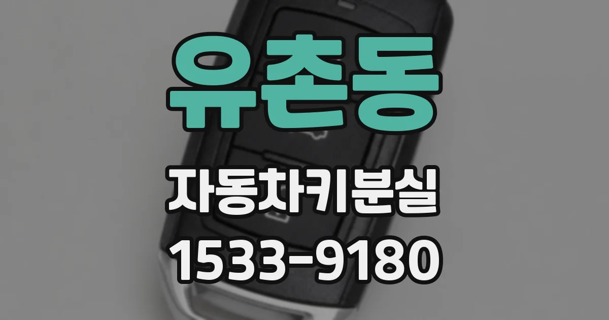 유촌동 자동차키분실