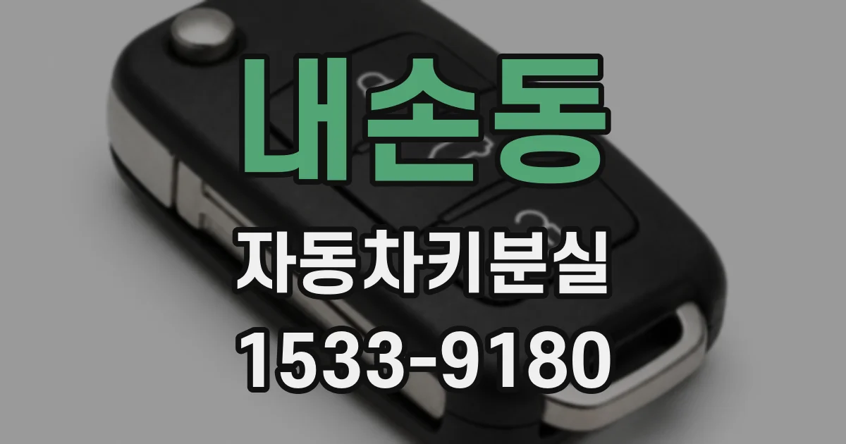 내손동 자동차키분실