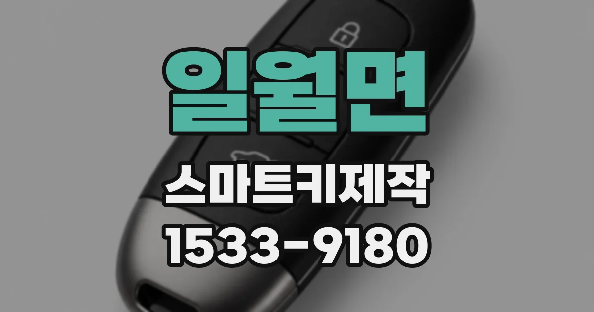 일월면 스마트키제작