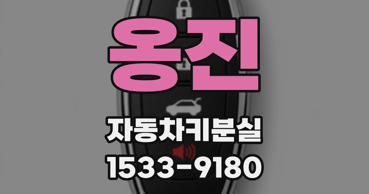 옹진 자동차키분실
