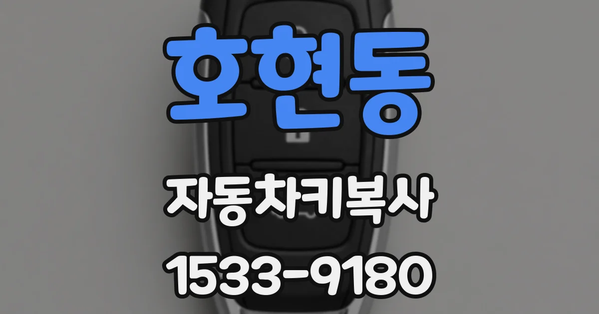 호현동 자동차키복사