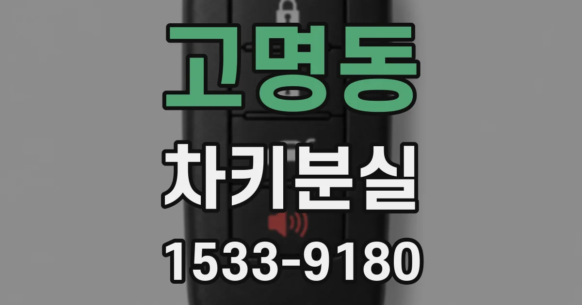 고명동 차키분실