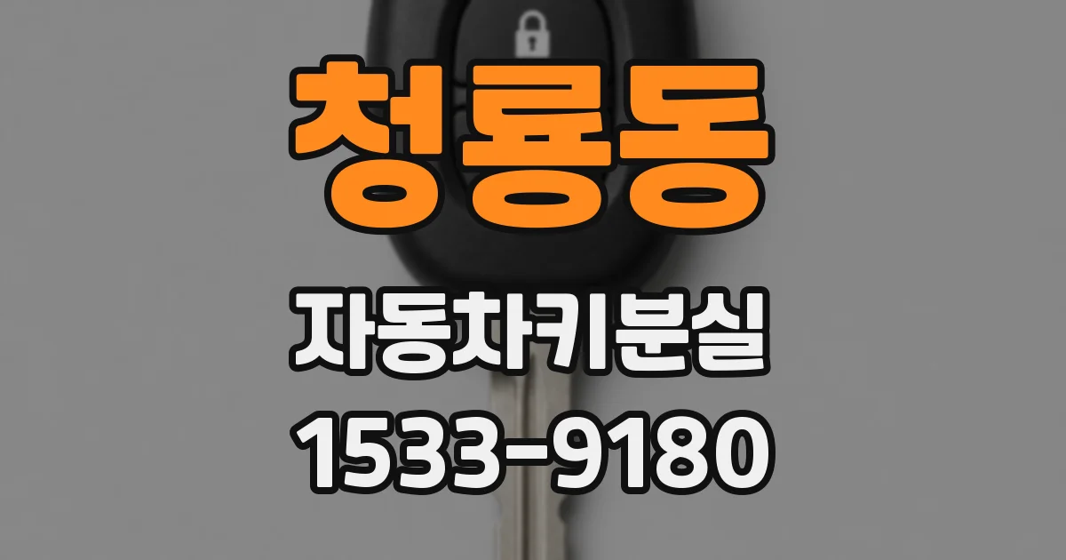 청룡동 자동차키분실