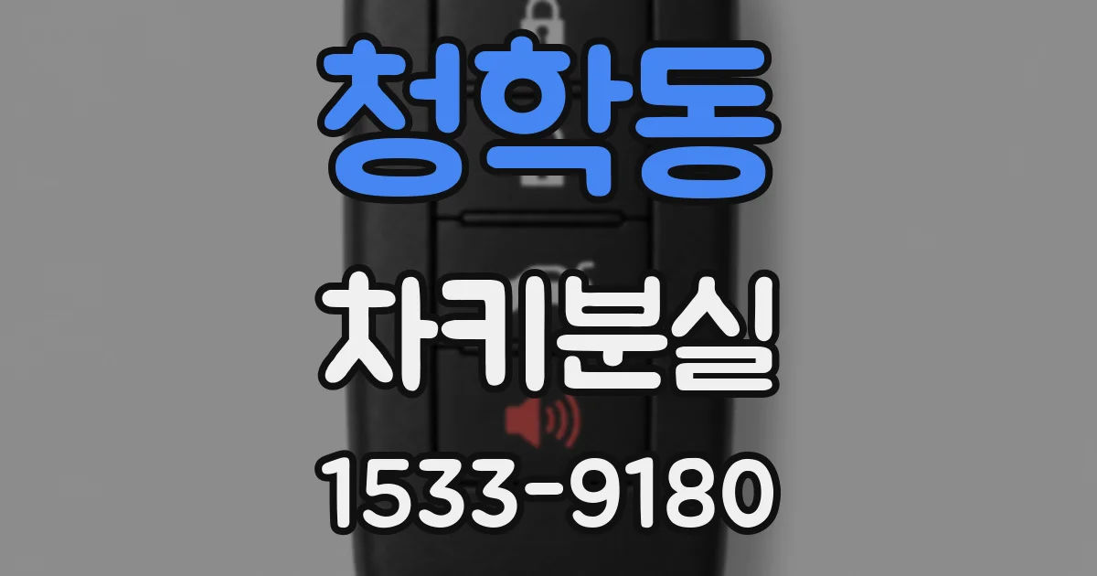 청학동 차키분실
