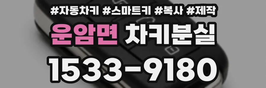 운암면 차키분실