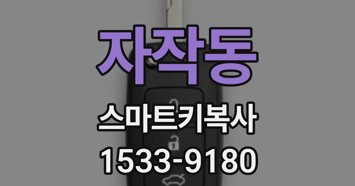 자작동 스마트키복사